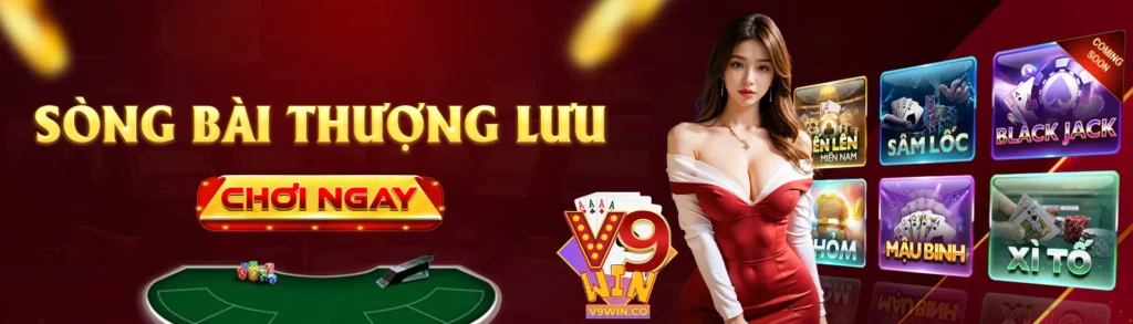 banner-v9win